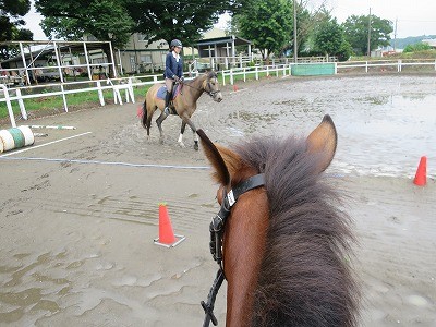 新馬調教　これで一通り完了！