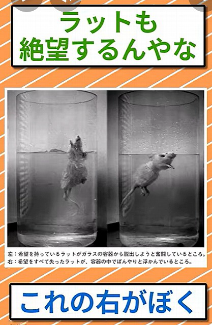 馬　動かない　なぜ