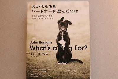 犬が私たちをパートナーに選んだわけ