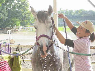 常に馬の立場で