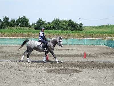 自然流馬術