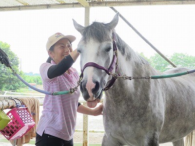 馬を安心させる