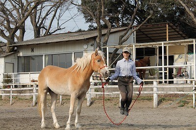 馬のすぐ横で縄跳び