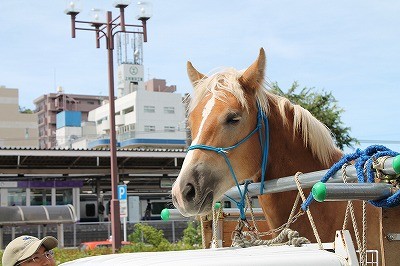 乗馬クラブの送迎は我孫子市天王台駅からです