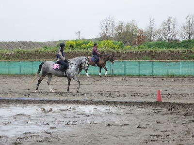 馬とシンクロ