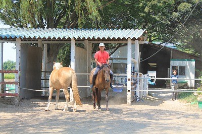 馬との信頼関係