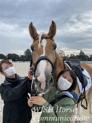全日本馬場馬術大会