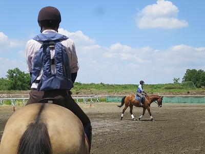 乗馬上達は地道で実直な作業