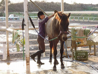 馬が好き乗馬が好き