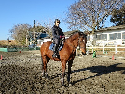 乗馬　馬と息を合わせる