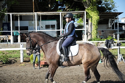 馬と寄り添う乗馬を