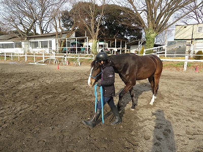 馬がシンパシーを感じてくれる乗馬をすること