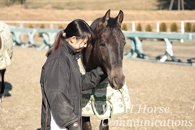 乗馬の小さな理想郷