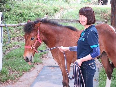 乗馬の調教