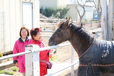 笑顔と馬のうっとり顔