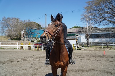 馬を大切にする乗馬クラブ