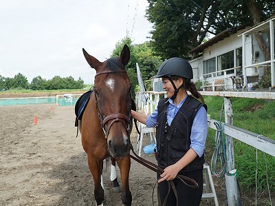 馬目線になって馬の考えを知ろう