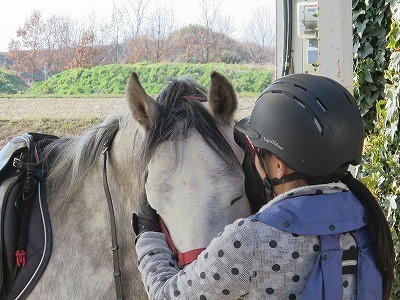 愛する気持ち、馬の喜ぶ顔