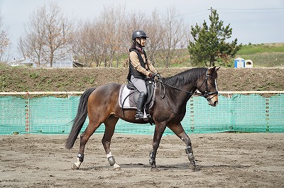 愛馬と仲良く
