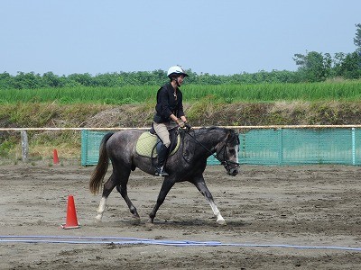 思い通りの乗馬を！