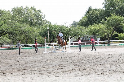 関東高等学校馬術選手権大会