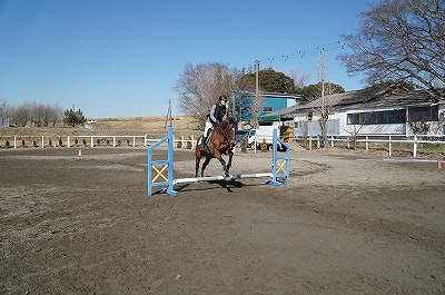 アップル走行障害飛越