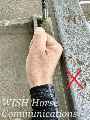 乗馬　手首の様子