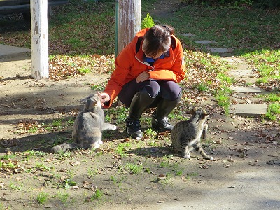 猫ともいい関係