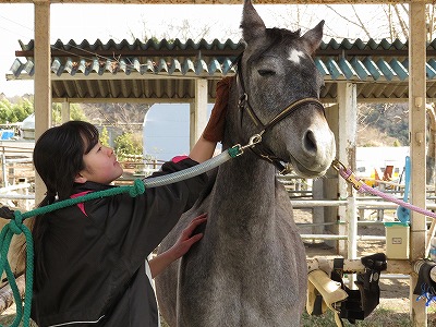 馬を育てる乗馬　馬と共にある乗馬