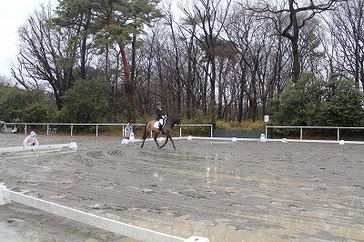 ウィッシュホースコミュニケーションズ競技会