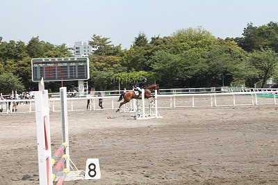 関東高等学校馬術選手権大会