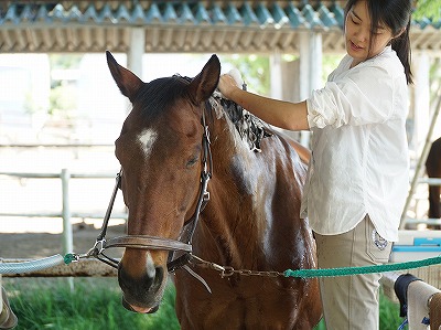 馬とのハッピーコミュニケーション