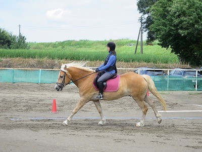 本当の乗馬がしたい