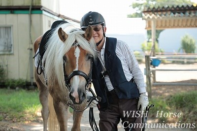 優しい人には優しい乗馬