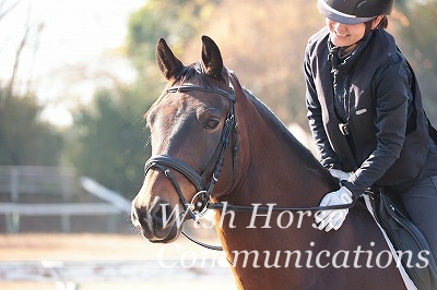 馬に優しい乗馬