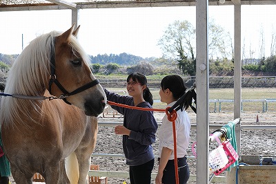 体験乗馬へようこそ！