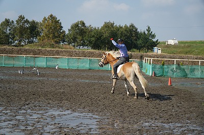 楽しいことをしていいんだって！