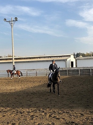馬に思いやりを注ぐ馬術