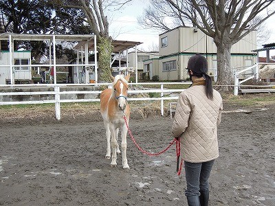 馬とのコミュニケーションレッスン