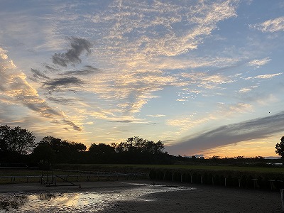 秋の空