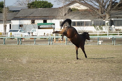 ボクはすごいぞー！