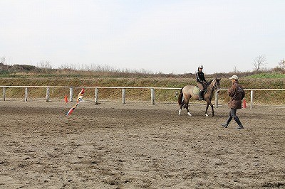 馬と遊ぶ