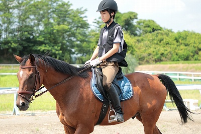 乗馬基本姿勢