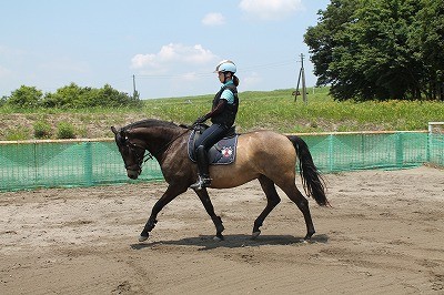 自分がもし馬だったら…