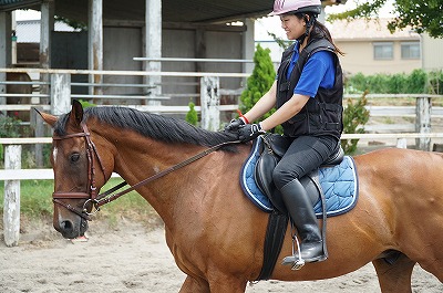 よく調教された馬は最良の教師