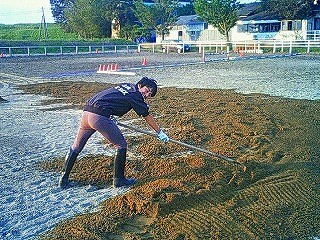 乗馬クラブの馬場に砂を入れました！