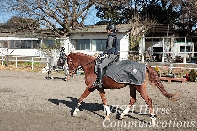 乗馬は馬がパートナー