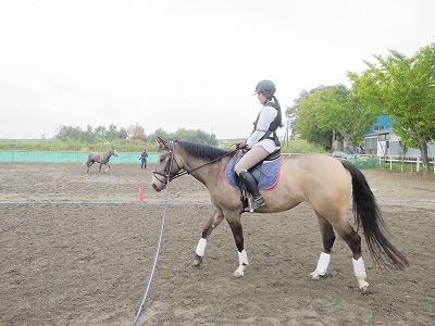 馬の生き甲斐