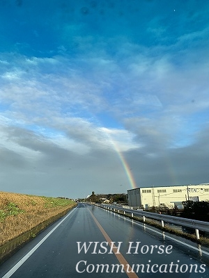 乗馬クラブの虹