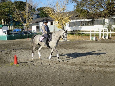すべての馬はいい馬だ！